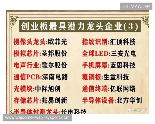 创业板站上新高，背后推手是芯片！，创业板芯片龙头股排名前十