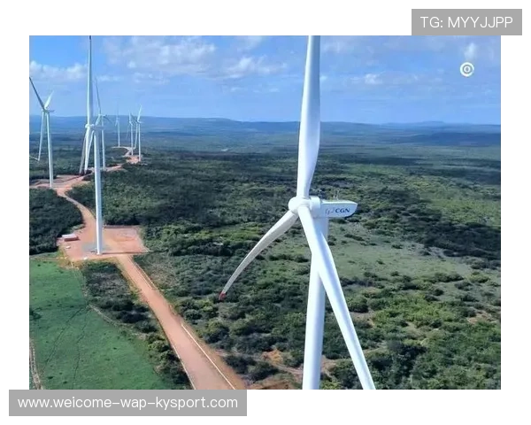 多米尼克国际帆船赛受到热烈欢迎，多米尼克斯级